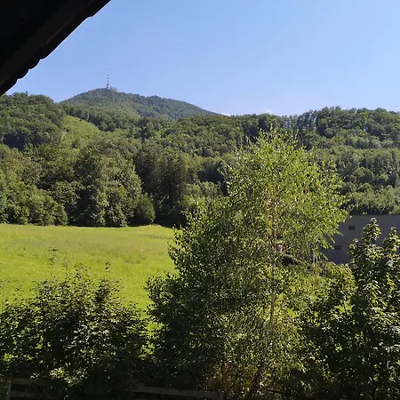 公寓 Gaisberg Blick Guggenthal